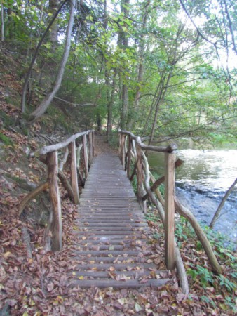 What a lovely bridge